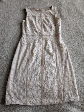 Maggy London Blush Lace Paneled Midi Dress